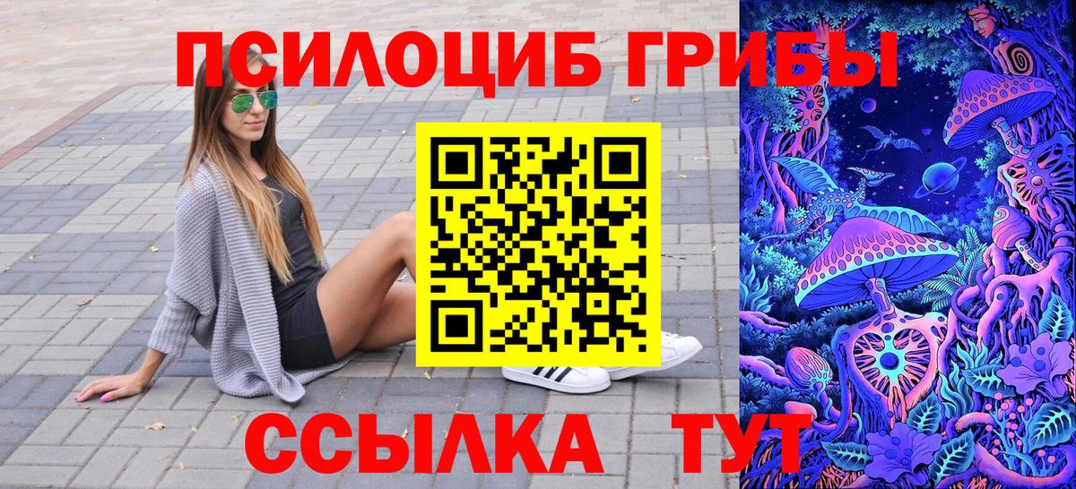сколько стоит  Вход с VPN  Псилоцибиновые грибы MAGIC MUSHROOMS  Верхняя Пышма  Псилоцибиновые грибы мухоморы 